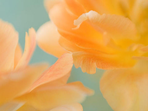 Double Vision II White Modern Wood Framed Art Print with Double Matting by Stalus, Judy