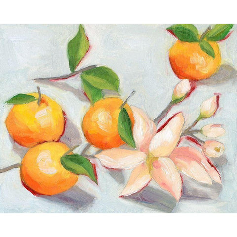 Tangerine Blossoms I Black Modern Wood Framed Art Print with Double Matting by Wang, Melissa