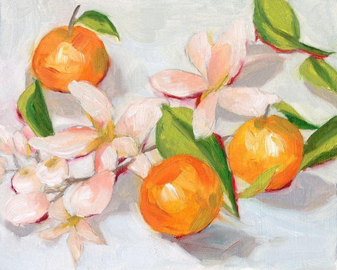 Tangerine Blossoms II White Modern Wood Framed Art Print with Double Matting by Wang, Melissa