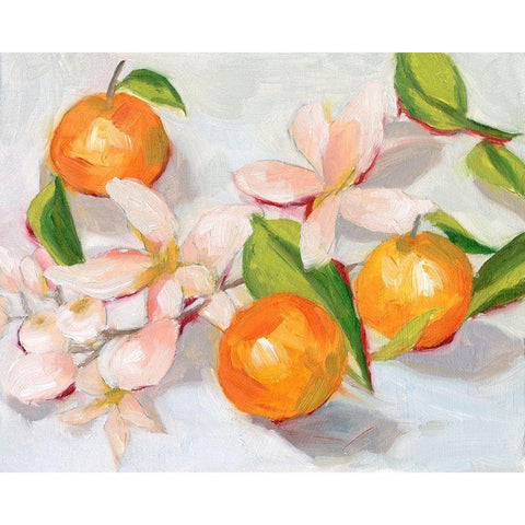 Tangerine Blossoms II Black Modern Wood Framed Art Print with Double Matting by Wang, Melissa