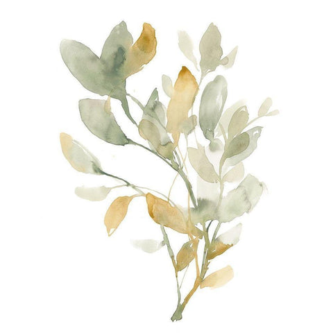 Sage and Sienna Leaves I Gold Ornate Wood Framed Art Print with Double Matting by Goldberger, Jennifer