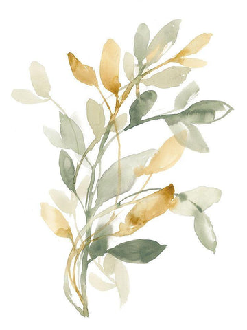 Sage and Sienna Leaves II White Modern Wood Framed Art Print with Double Matting by Goldberger, Jennifer