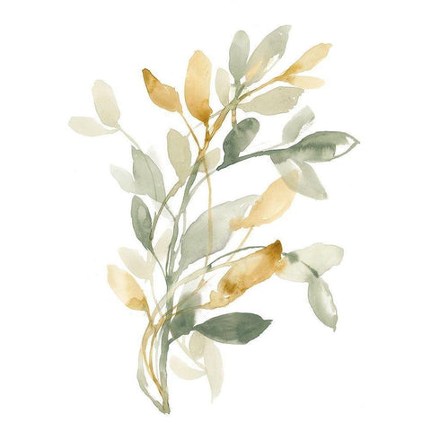 Sage and Sienna Leaves II White Modern Wood Framed Art Print by Goldberger, Jennifer
