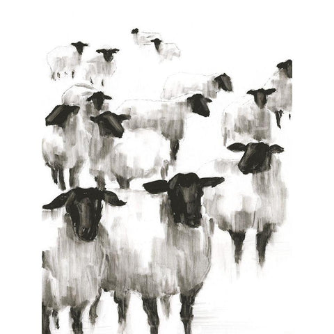 Counting Sheep II White Modern Wood Framed Art Print by Harper, Ethan