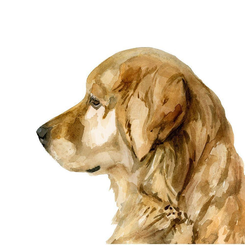 Pet Profile I White Modern Wood Framed Art Print with Double Matting by Barnes, Victoria