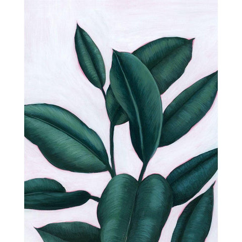 Verdant Ficus I Black Modern Wood Framed Art Print with Double Matting by Popp, Grace