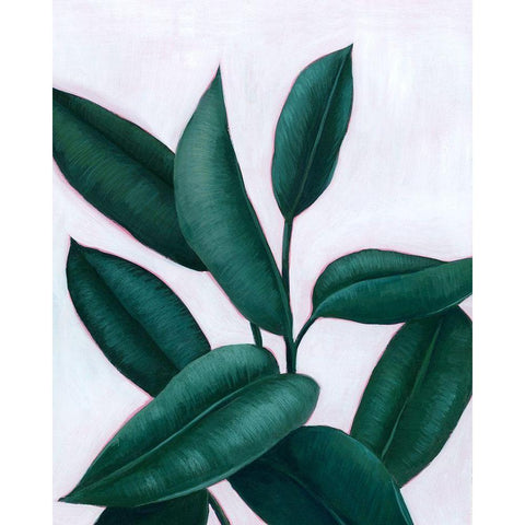 Verdant Ficus II White Modern Wood Framed Art Print by Popp, Grace