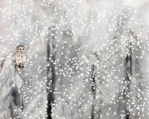 Snowy Habitat II White Modern Wood Framed Art Print with Double Matting by Ludwig, Alicia