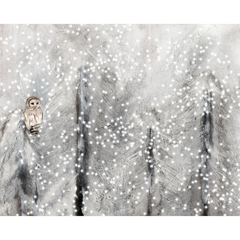 Snowy Habitat II Black Modern Wood Framed Art Print by Ludwig, Alicia