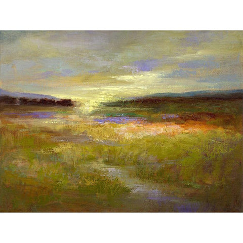 Light Across the Meadow II Black Modern Wood Framed Art Print by Finch, Sheila