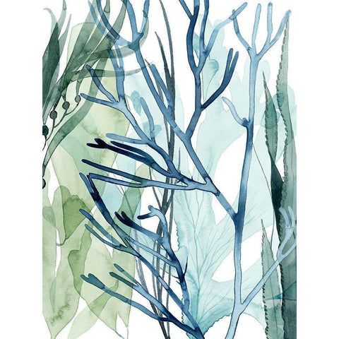 Sea Leaves II Black Modern Wood Framed Art Print with Double Matting by Popp, Grace