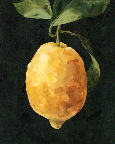 Dark Lemon I White Modern Wood Framed Art Print with Double Matting by Caroline, Emma