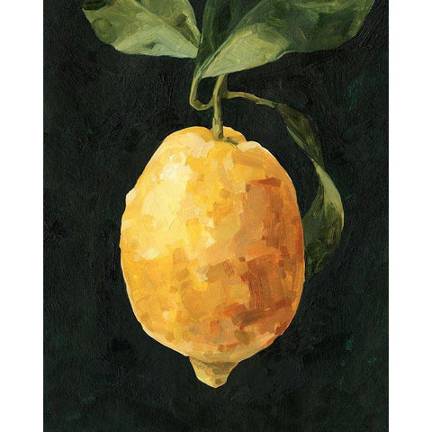 Dark Lemon I Black Modern Wood Framed Art Print by Caroline, Emma