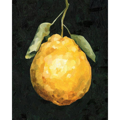 Dark Lemon II White Modern Wood Framed Art Print by Caroline, Emma
