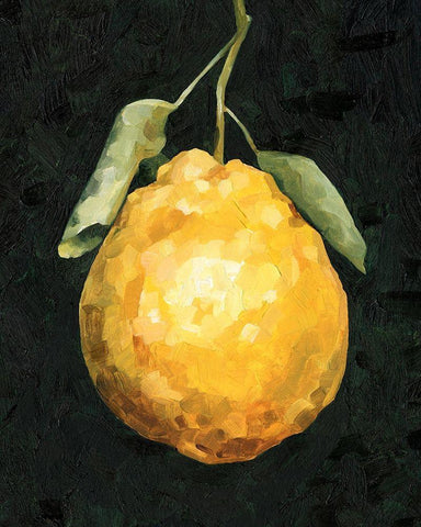 Dark Lemon II White Modern Wood Framed Art Print with Double Matting by Caroline, Emma