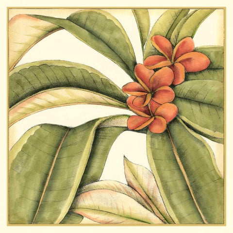 Tropical Blooms and Foliage I White Modern Wood Framed Art Print with Double Matting by Goldberger, Jennifer