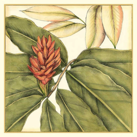 Tropical Blooms and Foliage II White Modern Wood Framed Art Print by Goldberger, Jennifer