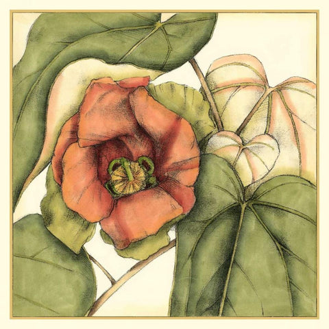 Tropical Blooms and Foliage IV Black Modern Wood Framed Art Print by Goldberger, Jennifer