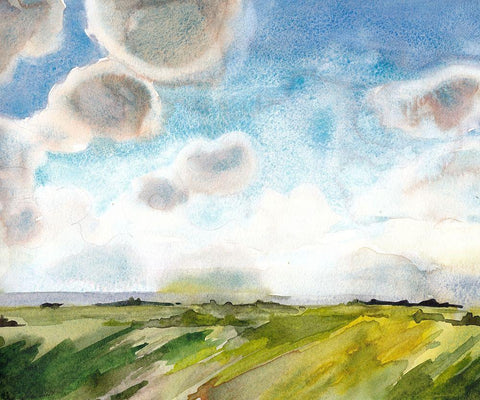 May Sky Studies III Black Ornate Wood Framed Art Print with Double Matting by McCreery, Paul