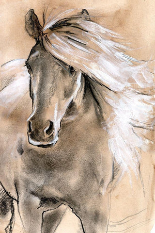 Sketched Horse I White Modern Wood Framed Art Print with Double Matting by Parker, Jennifer Paxton