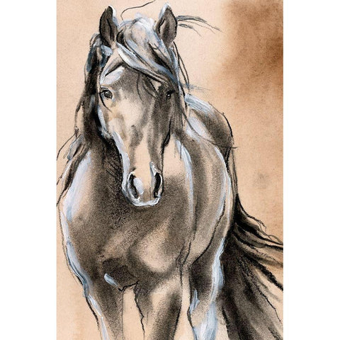 Sketched Horse II White Modern Wood Framed Art Print by Parker, Jennifer Paxton