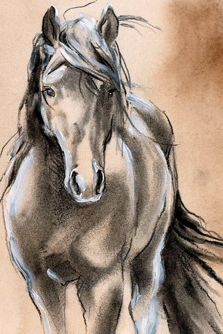 Sketched Horse II White Modern Wood Framed Art Print with Double Matting by Parker, Jennifer Paxton