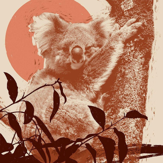 Image Only