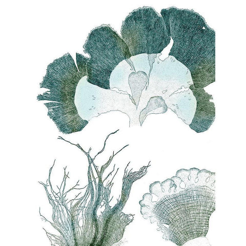 Seaside Seaweed II Black Modern Wood Framed Art Print with Double Matting by Vision Studio