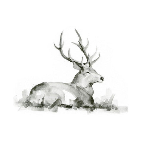 Recumbent Stag I Black Modern Wood Framed Art Print by Green, Jacob