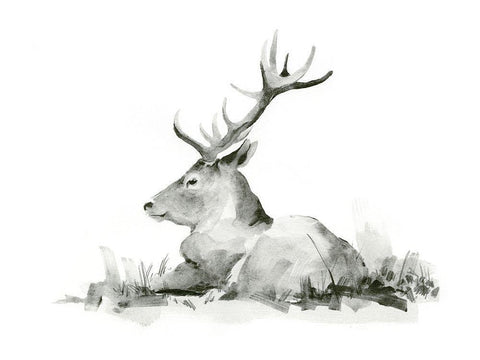 Recumbent Stag II White Modern Wood Framed Art Print with Double Matting by Green, Jacob