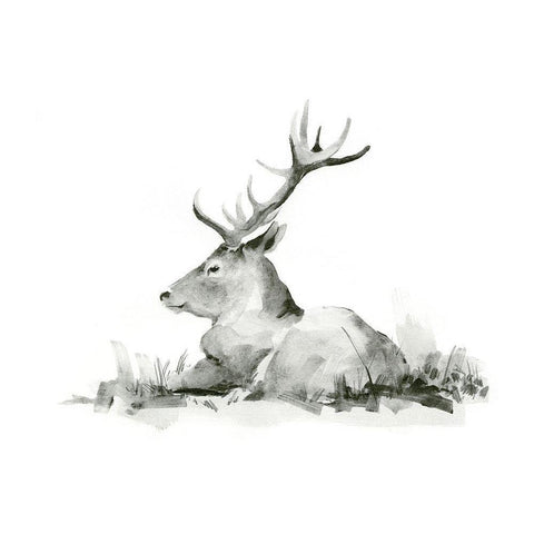 Recumbent Stag II Black Modern Wood Framed Art Print by Green, Jacob
