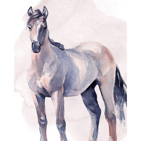 Horse in Watercolor II White Modern Wood Framed Art Print by Parker, Jennifer Paxton