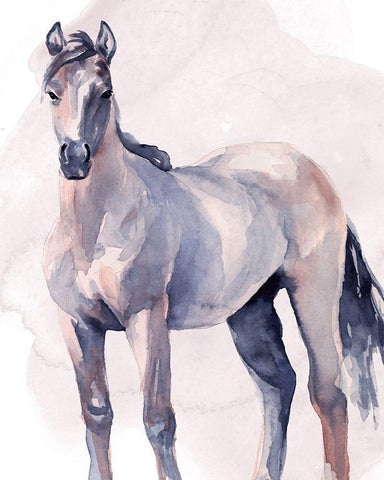 Horse in Watercolor II White Modern Wood Framed Art Print with Double Matting by Parker, Jennifer Paxton