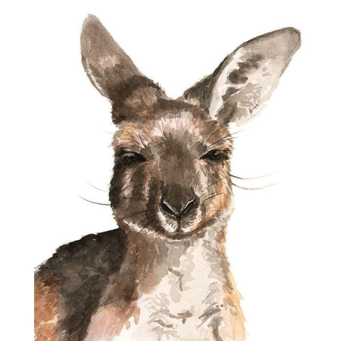 Kangaroo Portrait I White Modern Wood Framed Art Print by Parker, Jennifer Paxton