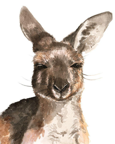 Kangaroo Portrait I White Modern Wood Framed Art Print with Double Matting by Parker, Jennifer Paxton