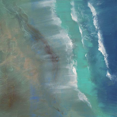 Aerial Coast II Gold Ornate Wood Framed Art Print with Double Matting by Finch, Sheila