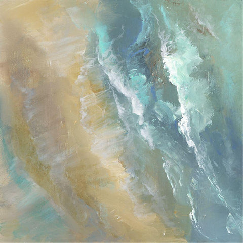 Aerial Coast IV Black Modern Wood Framed Art Print with Double Matting by Finch, Sheila