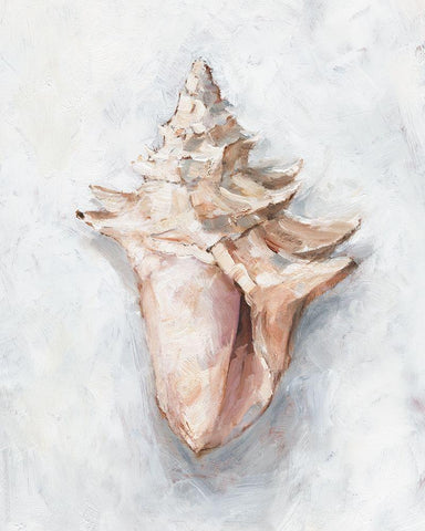 White Shell Study I White Modern Wood Framed Art Print with Double Matting by Harper, Ethan