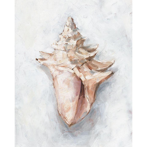 White Shell Study I Black Modern Wood Framed Art Print with Double Matting by Harper, Ethan