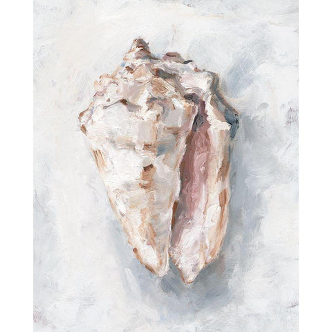 White Shell Study II Black Modern Wood Framed Art Print by Harper, Ethan
