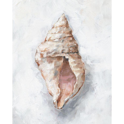 White Shell Study III White Modern Wood Framed Art Print by Harper, Ethan