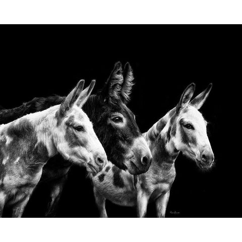 Donkey Portrait II Gold Ornate Wood Framed Art Print with Double Matting by PHBurchett