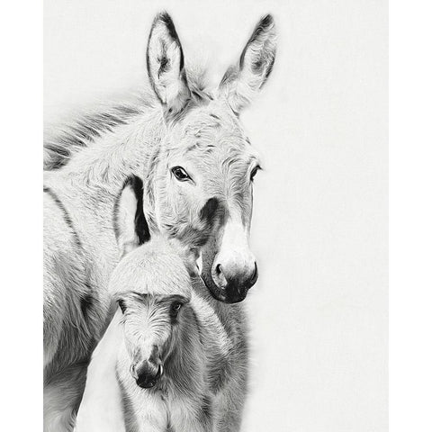 Donkey Portrait V White Modern Wood Framed Art Print by PHBurchett