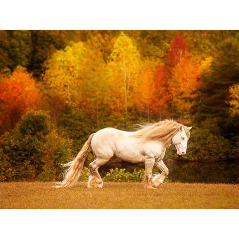 Golden Lit Horse VI White Modern Wood Framed Art Print by PHBurchett