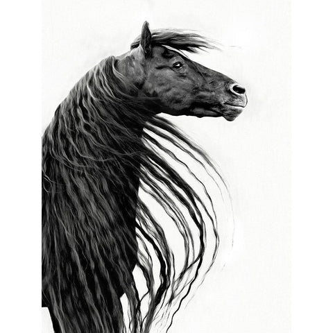 Black and White Horse Portrait II Black Modern Wood Framed Art Print with Double Matting by PHBurchett