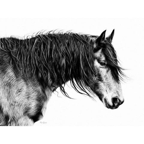 Black and White Horse Portrait III White Modern Wood Framed Art Print by PHBurchett