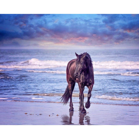 Running in the Sand I Gold Ornate Wood Framed Art Print with Double Matting by PHBurchett