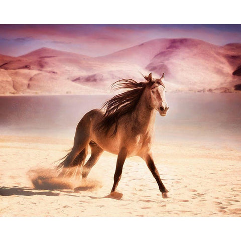 Running in the Sand II White Modern Wood Framed Art Print by PHBurchett