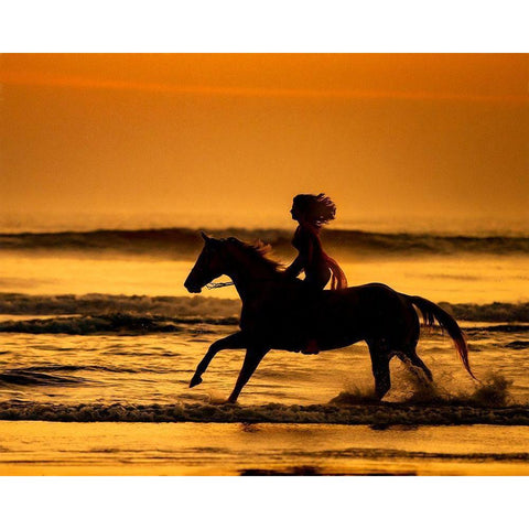 Running in the Sand IV Gold Ornate Wood Framed Art Print with Double Matting by PHBurchett