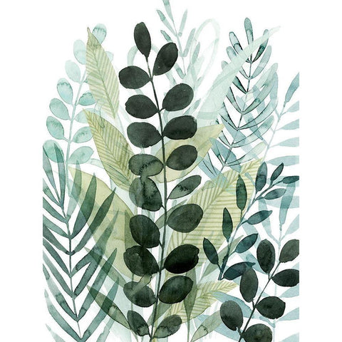 Forest Forage I Black Modern Wood Framed Art Print by Popp, Grace